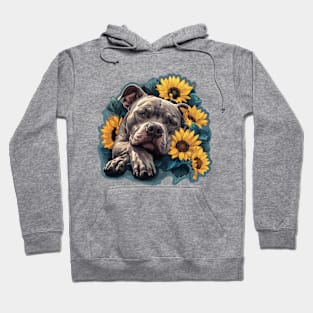 American Bully Hoodie